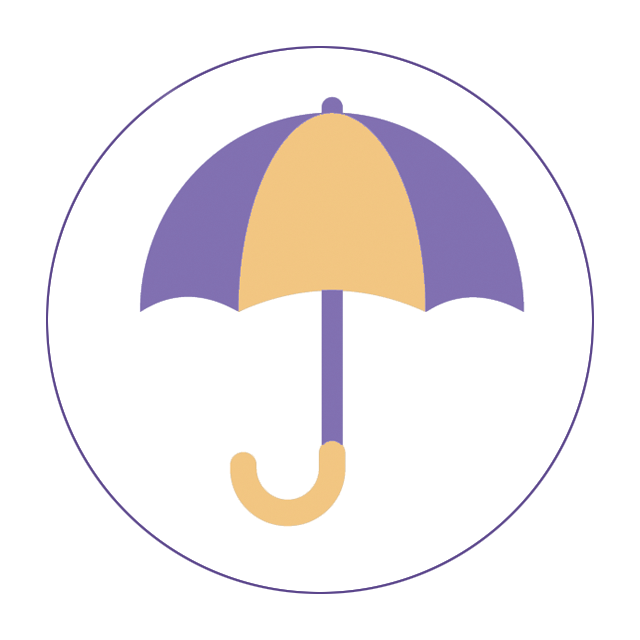 supervision icon
